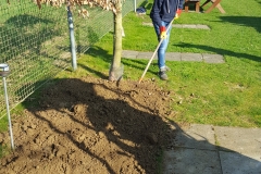 Platzputzete _092249_001 (11)