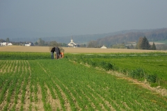 DSCN6383