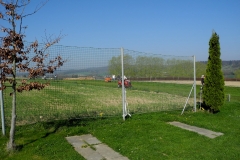 DSCN6388