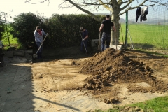 DSCN6390