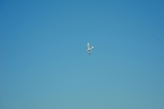 DSCN6413