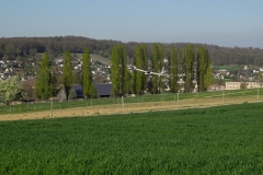 DSCN6419